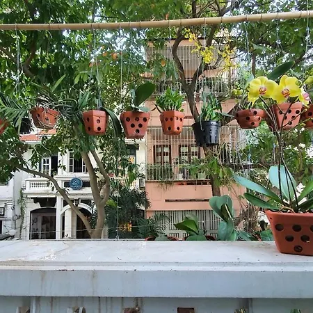 De Studio Homestay Hanoi Exterior photo