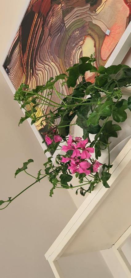 De Séjour chez l'habitant *